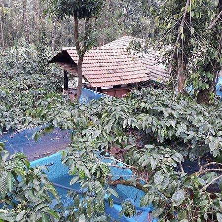Durf Green Madikeri Exterior photo