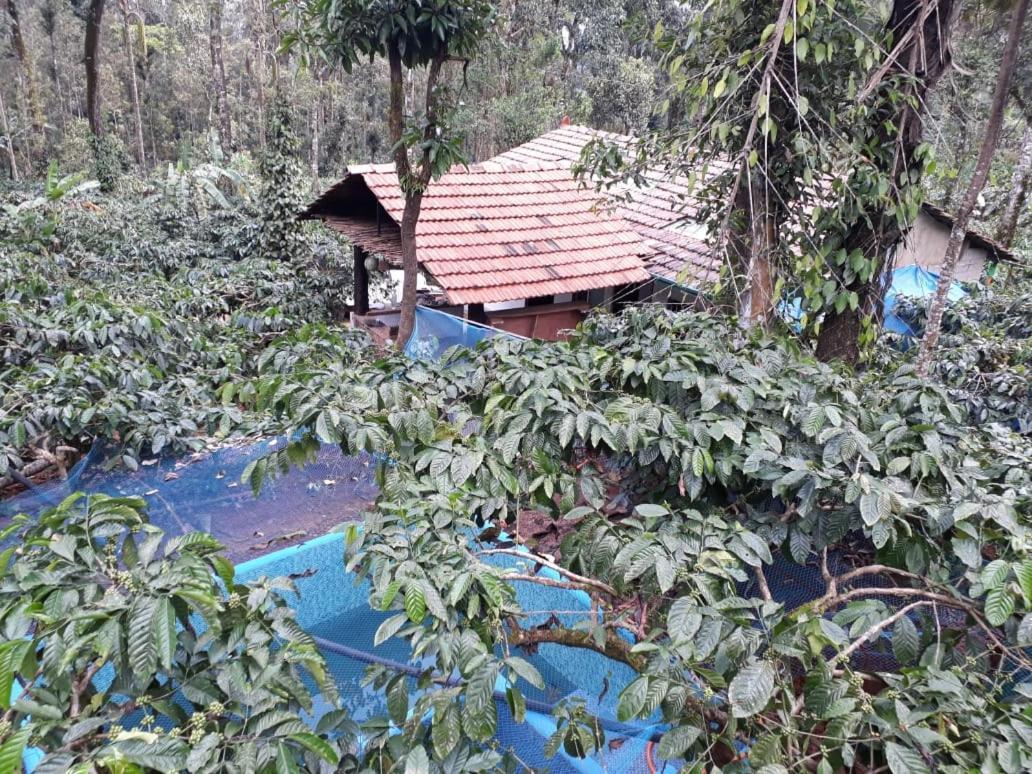 Durf Green Madikeri Exterior photo